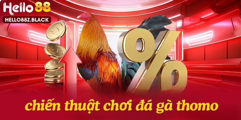 Chọn nhà cái Hello88 uy tín để chơi đá gà Thomo Campuchia