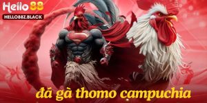 dd-da-ga-thomo-campuchia-tai-hello88 (1)