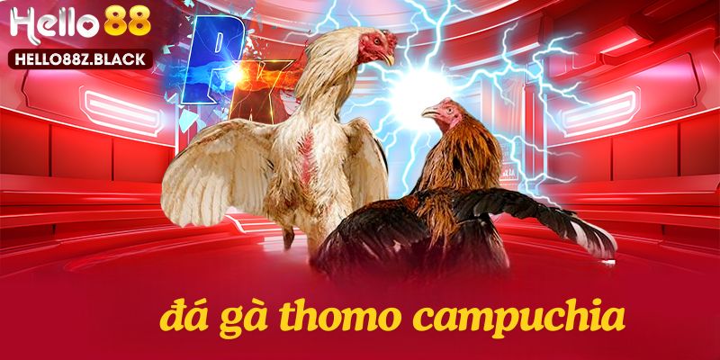 Thông tin sơ lược về hình thức đá gà Thomo Campuchia