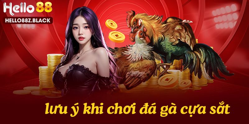 Lưu ý khi chơi đá gà cựa sắt 